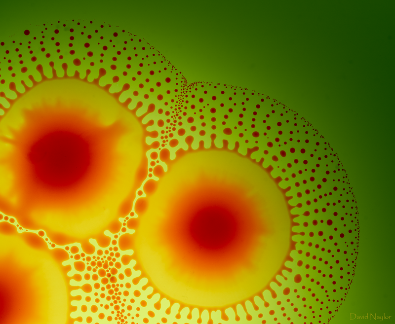 Photograph of Marangoni droplet bursting: Three interacting droplets